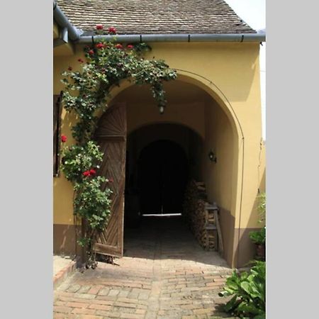 Apartman Brankova Kuca Sremski Karlovci Exterior foto