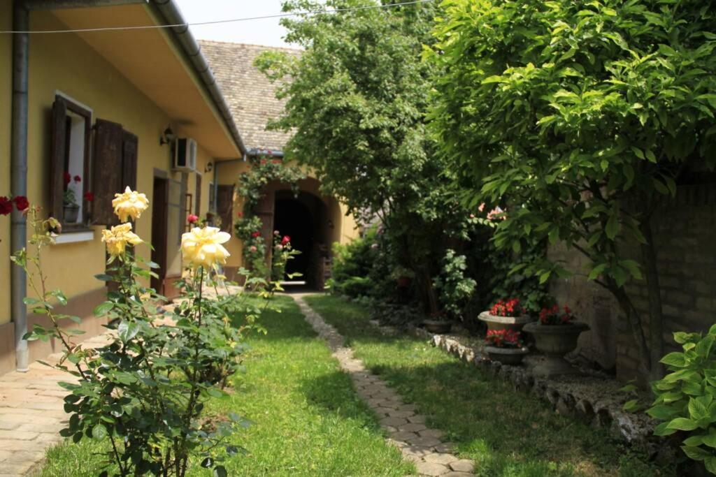 Apartman Brankova Kuca Sremski Karlovci Exterior foto