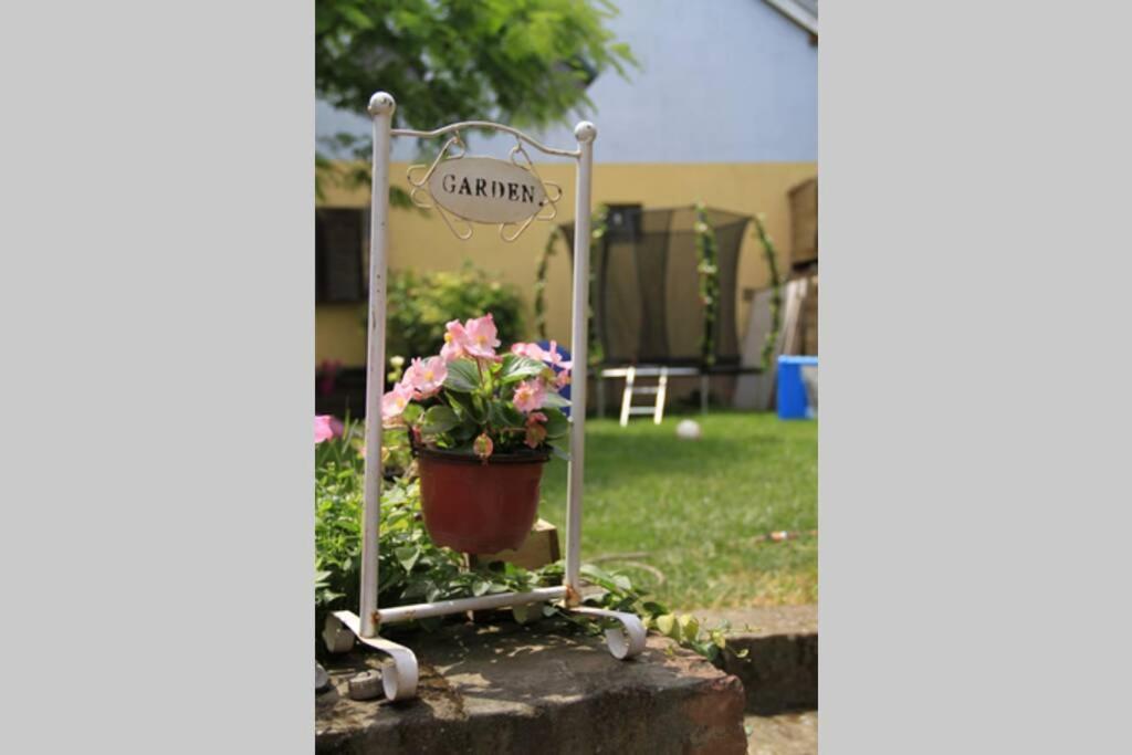 Apartman Brankova Kuca Sremski Karlovci Exterior foto