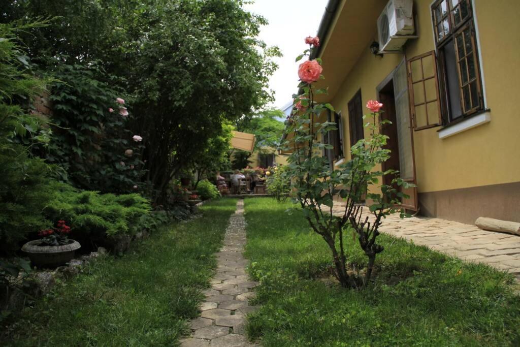 Apartman Brankova Kuca Sremski Karlovci Exterior foto